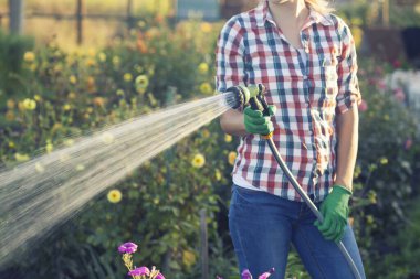 Genç bir kadın, güneşli bir yaz gününde bahçede hortumla çiçekleri suluyor..