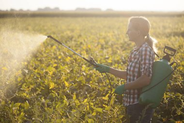 Yeşil sırt çantalı genç bir kadın, elinde bir bahçe spreyi ile hastalıklara karşı soya fasulyesi püskürtüyor.