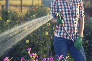 Genç bir kadın, güneşli bir yaz gününde bahçede hortumla çiçekleri suluyor..