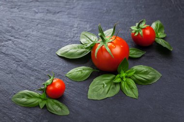 Siyah tahtada fesleğen yapraklı taze kırmızı domatesler. Düz yatıyordu. Yiyecek konsepti