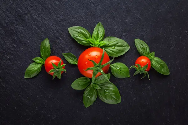 Rijpe Verse Rode Tomaten Met Basilicumbladeren Een Zwart Leien Bord Stockfoto