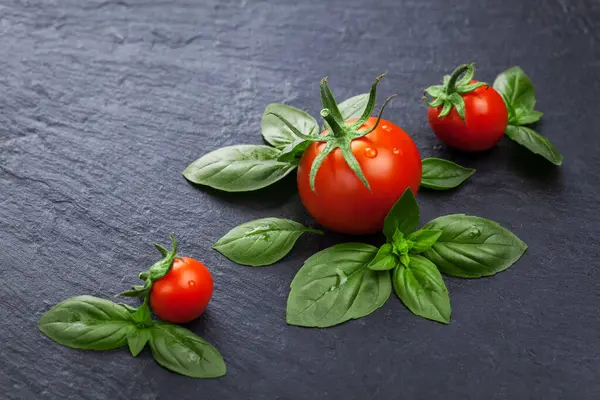 Rijpe Verse Rode Tomaten Met Basilicumbladeren Een Zwart Leien Bord Rechtenvrije Stockafbeeldingen