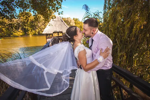 Gelukkige Bruid Bruidegom Wandelen Het Groene Park Stockfoto