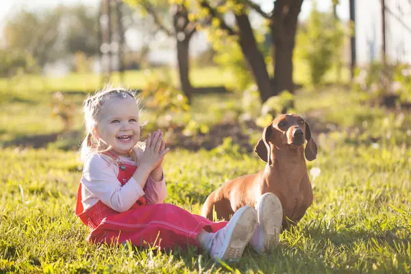 Pequeno Bebê Com Seu Cão Dachshund Jardim Verão Imagens De Bancos De Imagens