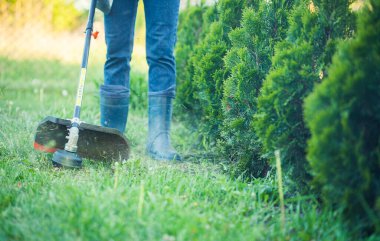 İşçi çimenleri el budayıcı ile biçiyor. Bahçe bakımı. Ot kontrolü. Çim biçme makinesi işçisi, bahçe işleri..