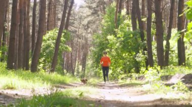 Çam ormanında yeşil bir alanda sahibiyle koşuyor.