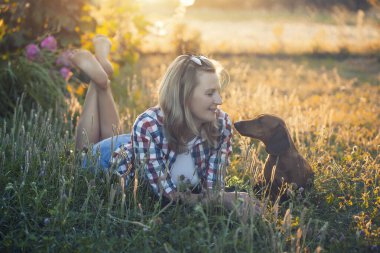 Kırmızı dachshund köpeği güneşli bir yaz parkında sahibiyle oynuyor.