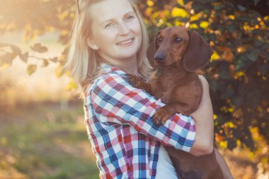 Kırmızı dachshund köpeği güneşli bir yaz parkında sahibiyle oynuyor.