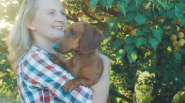 Kırmızı dachshund köpeği güneşli bir yaz parkında sahibiyle oynuyor.