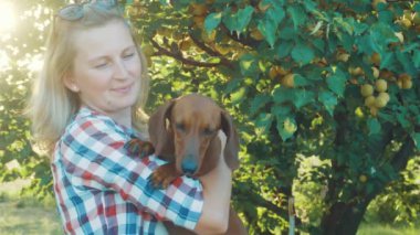 Kırmızı dachshund köpeği güneşli bir yaz parkında sahibiyle oynuyor.