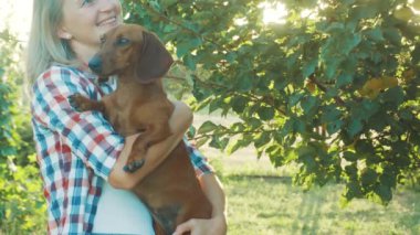 Kırmızı dachshund köpeği güneşli bir yaz parkında sahibiyle oynuyor.