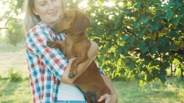 Kırmızı dachshund köpeği güneşli bir yaz parkında sahibiyle oynuyor.