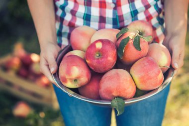Kot pantolonlu ve ekose gömlekli genç bir çiftçi elinde bir kase elmayla bir meyve bahçesinde duruyor.