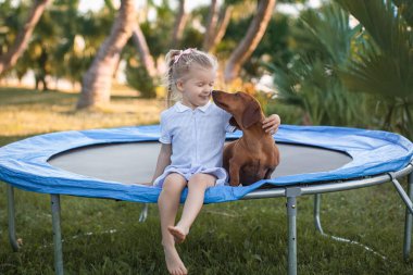 Üç yaşında gülümseyen bir kız, yeşil güneşli yaz parkında trambolinde dachshund köpeğiyle oynuyor. Evcil hayvanlarla mutlu çocukluk