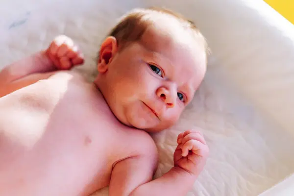 Retrato Bebé Recién Nacido Una Semana Cambiador Bebé Fotos De Stock Sin Royalties Gratis