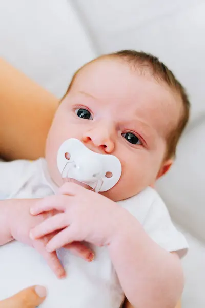 Retrato Bebé Recién Nacido Dos Semanas Con Chupete Imágenes De Stock Sin Royalties Gratis