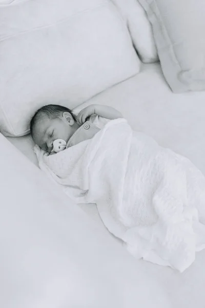 Recién Nacido Día Durmiendo Sofá Fotos De Stock
