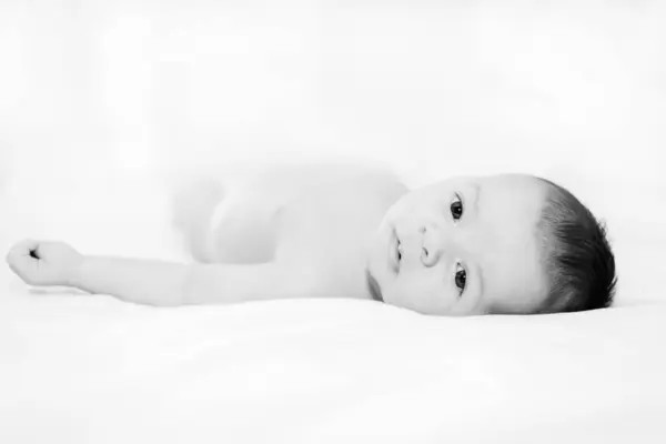 Recién Nacido Dos Semanas Edad Iluminación Estudio Contra Blanco Fotos De Stock