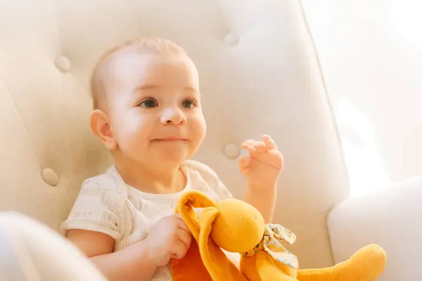 Retrato Bebê Nove Meses Com Coelho Pelúcia Sentado Uma Cadeira Fotografias De Stock Royalty-Free