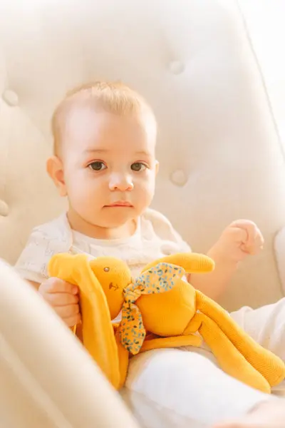 Retrato Bebê Nove Meses Com Coelho Pelúcia Sentado Uma Cadeira Imagens Royalty-Free