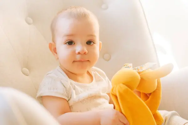 Retrato Bebê Nove Meses Com Coelho Pelúcia Sentado Uma Cadeira Fotografia De Stock