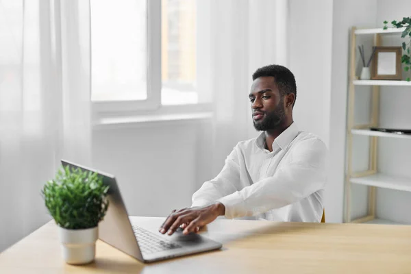 american man job technology programmer looking african sitting cyberspace indoor laptop office home worker education online freelancer person manager computer student work