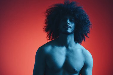 Kırmızı arka planda kıvırcık saçlı moda adamı portresi şık gözlükler, çok uluslu, renkli ışık, siyah deri ceket moda, modern konsept, seksi vücut. Yüksek kalite fotoğraf