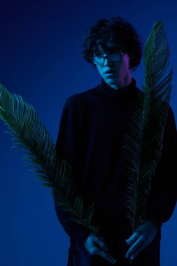 Palmiye yapraklı gözlük takan adam, hipster yaşam tarzı, portre mavisi arka plan, karışık neon ışık, moda tarzı ve trendler, kopyalama alanı. Yüksek kalite fotoğraf