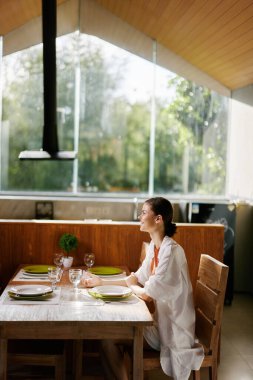 İç işleri başkanı yemek masası modern ev dekorasyonu ahşap restoran cam oda lüks yemek penceresi mobilya evi tasarımı