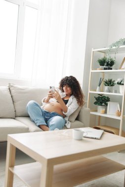 Hamile kadın blogcu evdeki kanepede oturur ve telefonda kendi fotoğraflarını çeker, selfie ve video görüşmesi, doktorla online istişare, hamilelik yönetimi. Yüksek kalite fotoğraf
