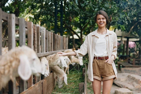 A woman standing in front of a fence with sheep in the background