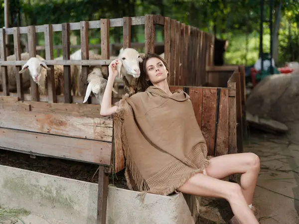 Woman Sitting Ground Next Wooden Fence Sheep Background — Stock Photo, Image