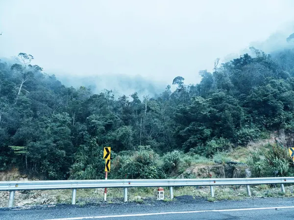 Curving through Natures Mist: A Serene Journey on the Foggy Mountain Road