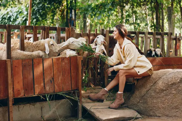 Une Femme Caresse Mouton Enclos Dans Une Ferme Thaïlande Foto — Photo