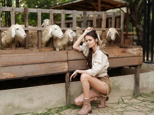 Woman Kneeling Front Group Sheep Pen Ground — Stock Photo, Image