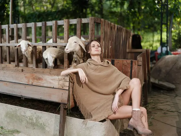 Une Femme Assise Devant Une Clôture Bois Avec Des Moutons — Photo