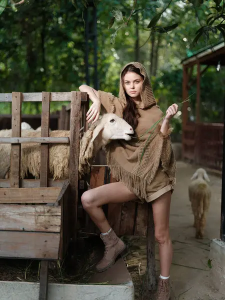 Tahta bir bankta oturan bir kadın. Bölgedeki bir çitin içindeki koyunun yanında.