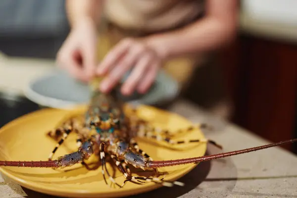 stock image Freshly cooked lobster on a white plate being prepared by someone in a modern kitchen