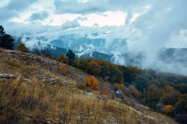 Serenity of Cloudcovered Mountains with Lush Greenery and Trees on Hillside in Travel Destination Landscape