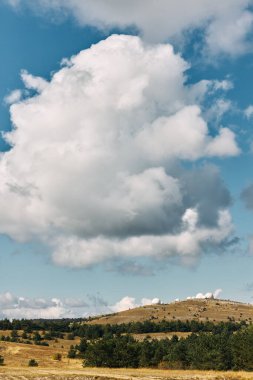 Gökyüzünde güzel bulutların altında uçan uçurtmalı çimenlik arazi manzarası