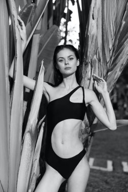 Tropik tatil titreşimleri, siyah beyaz fotoğrafta palmiye ağacına yaslanan tek parça mayo giymiş bir kadın.