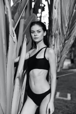 Plajda siyah beyaz fotoğrafta palmiye ağacının yanında poz veren, mayo giymiş tropik bir kadın.