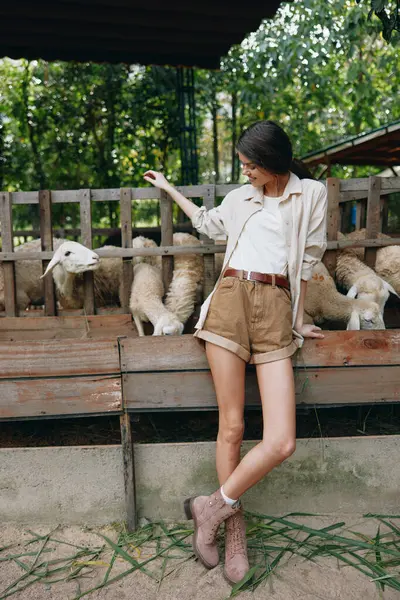 stock image A woman standing in front of a flock of sheep in a pen on a farm