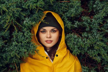 Sarı Yağmurluklu Gizemli Kadın Yağmurlu Gün Macerası sırasında Büyülü Orman 'da Evergreen' lerin Arkasında Saklanıyor