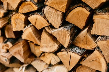 Ormandaki odun yığınının kırsal arka planı