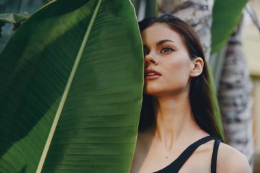 Siyah Başlıklı Kadın Tropikal Çevrede Ağacın Önünde Büyük Yeşil Palmiye Yaprağının Yanında Duruyor