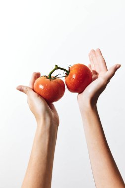 Beyaz arka planda elle tutulan taze kırmızı domatesler. Basit ve canlı bir görüntü yemek veya sağlıklı yaşam tarzı kavramları için mükemmel..