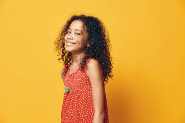 Gülümseyen kadın, pozitif genç Amerikalı siyah moda, izole edilmiş arka plan, neşeli yüz kıvırcık saçlı Afrikalı kadın, mutlu kadın portresi.