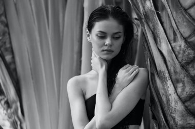 Siyah elbiseli zarif kadın siyah beyaz fotoğrafta palmiye ağacına yaslanıyor.