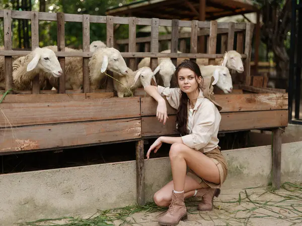 stock image A woman kneeling in front of a group of sheep in a pen on a farm